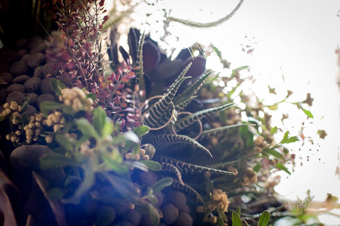 Manne and Rodrigo wedding, Jardín Etnobotánico, Oaxaca