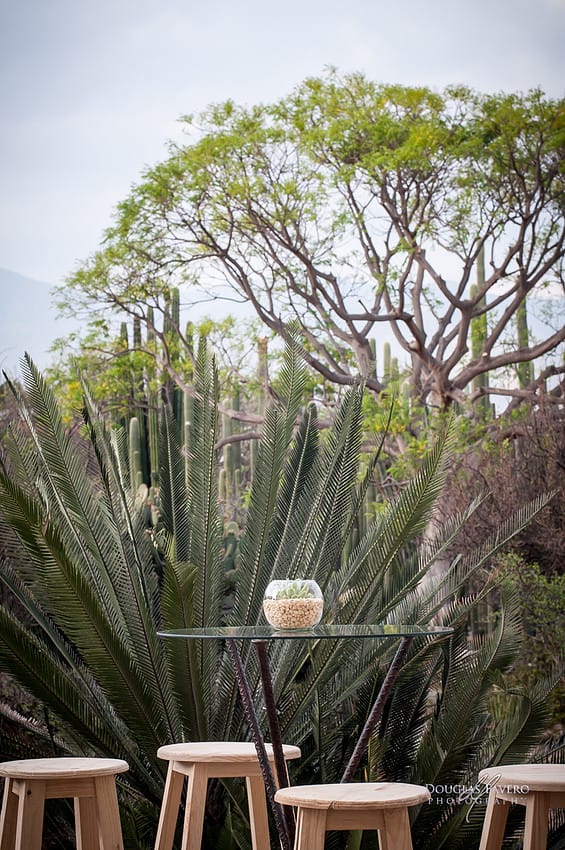 Manne and Rodrigo wedding, Jardín Etnobotánico, Oaxaca