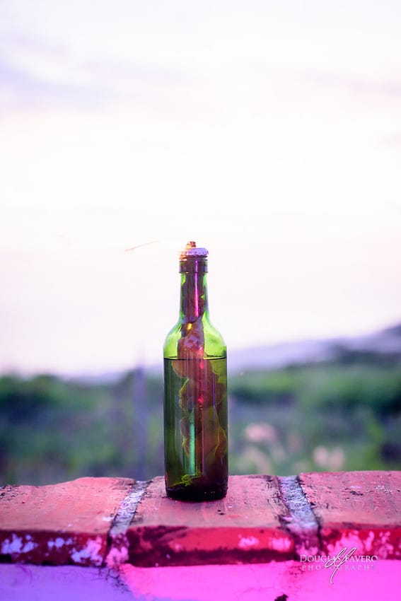 Tania and Luis, destination wedding at Playa Bacocho, Puerto Escondido, Oaxaca