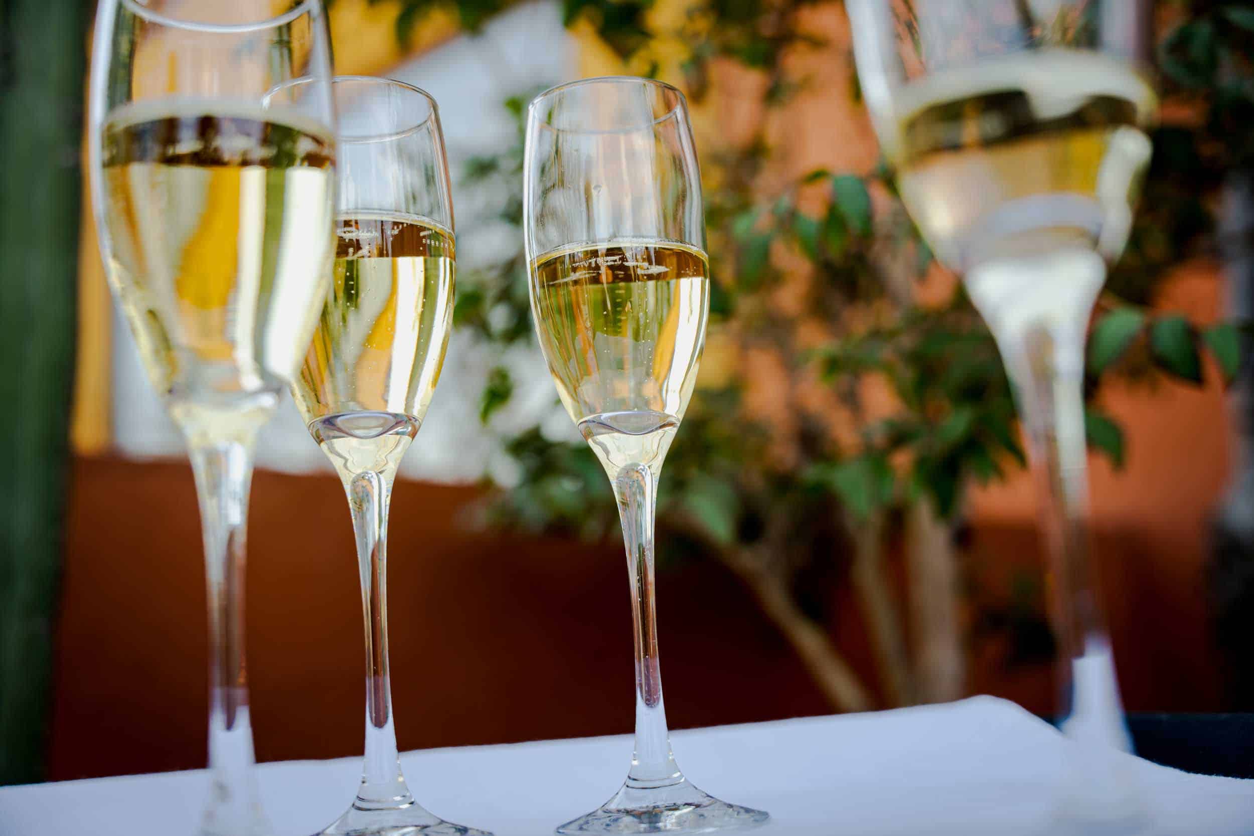 Sylvana & Felipe — Hotel Quinta Real, Jardín Etnobotánico — Douglas Favero Photography
