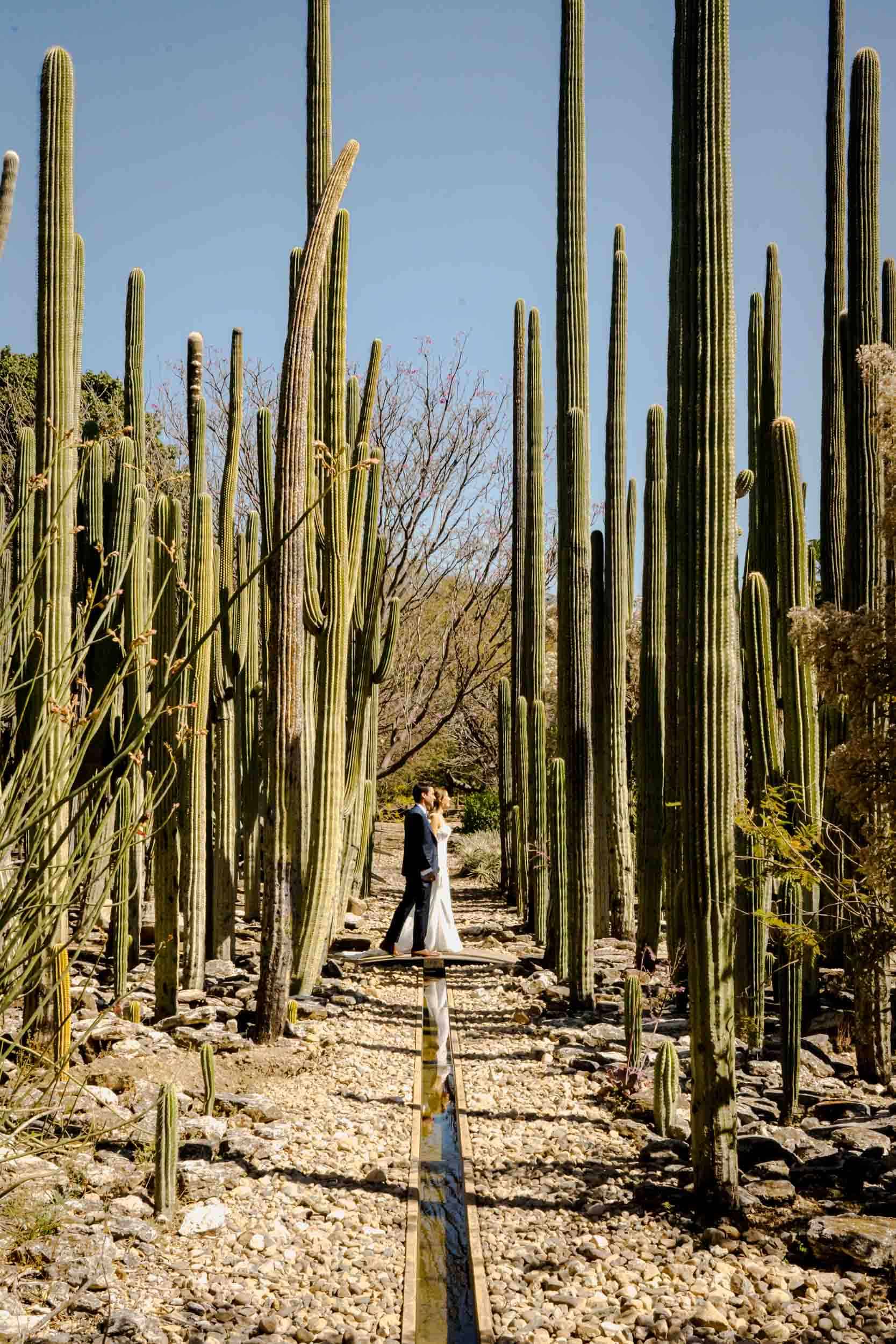 Sylvana & Felipe — Hotel Quinta Real, Jardín Etnobotánico — Douglas Favero Photography