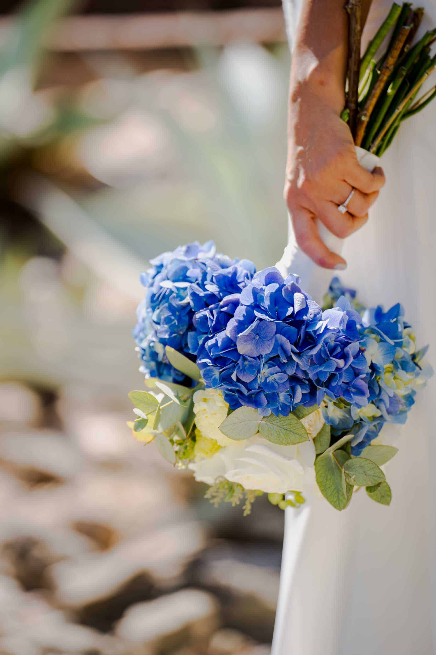 Sylvana & Felipe — Hotel Quinta Real, Jardín Etnobotánico — Douglas Favero Photography