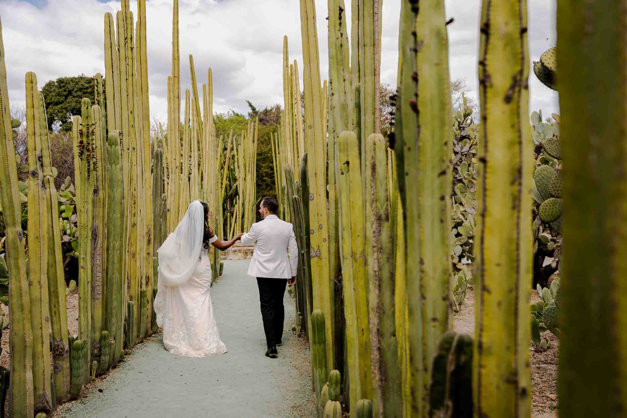 Nicole & Robert — Casa Quiote, Jardín Etnobotánico — Douglas Favero Photography