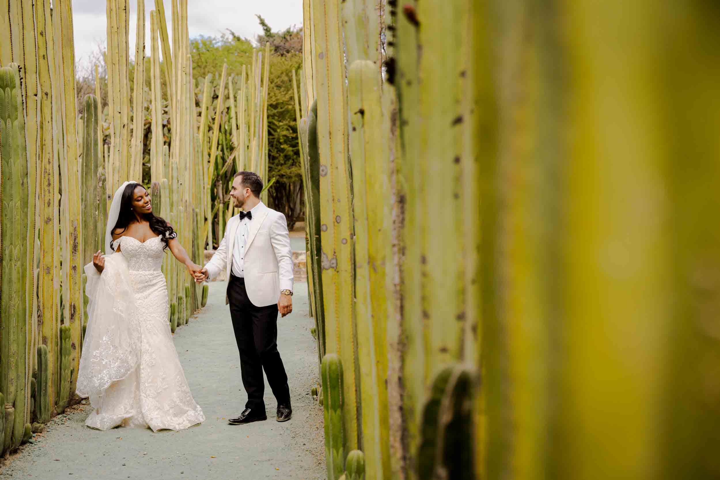 Nicole & Robert — Casa Quiote, Jardín Etnobotánico — Douglas Favero Photography