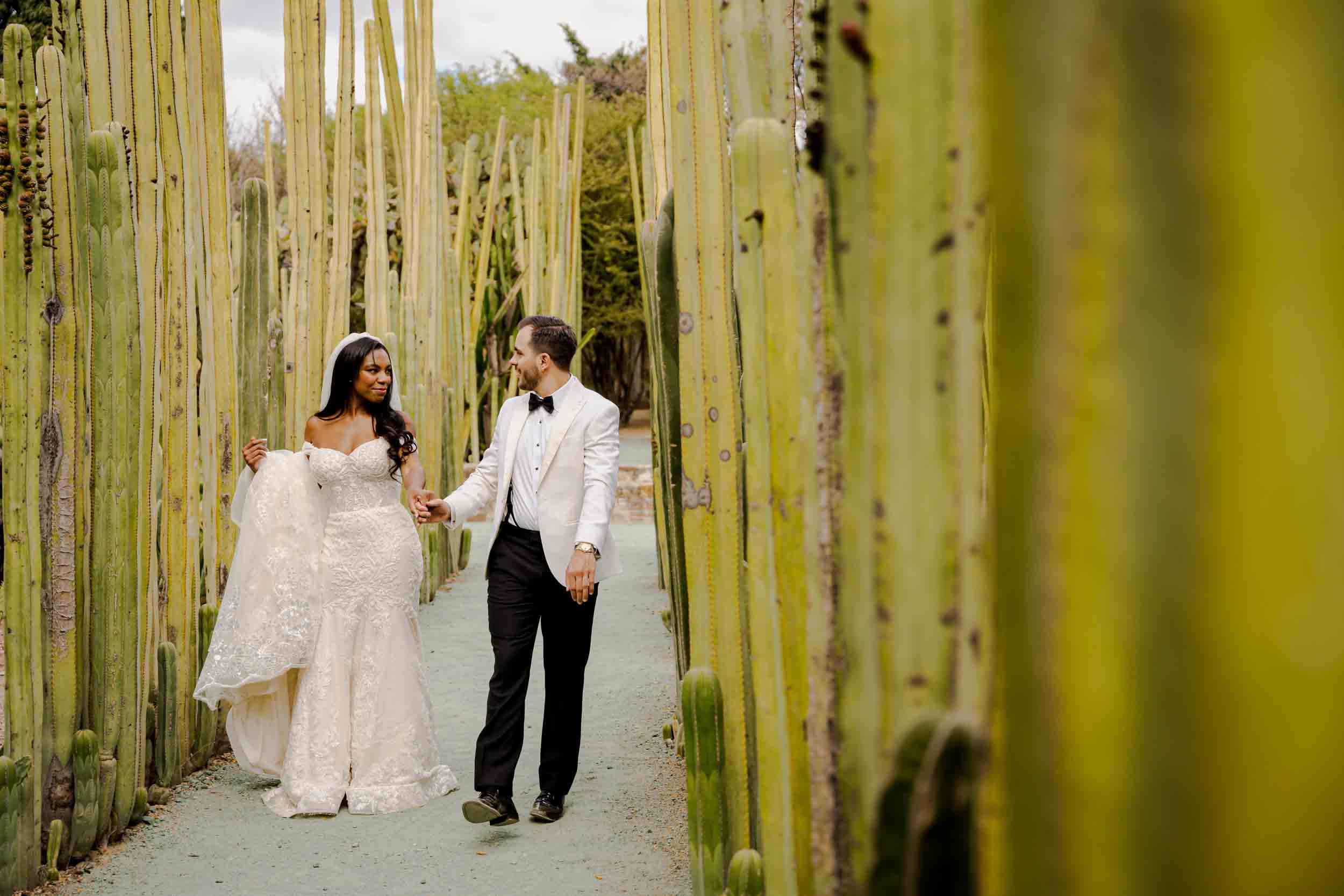 Nicole & Robert — Casa Quiote, Jardín Etnobotánico — Douglas Favero Photography