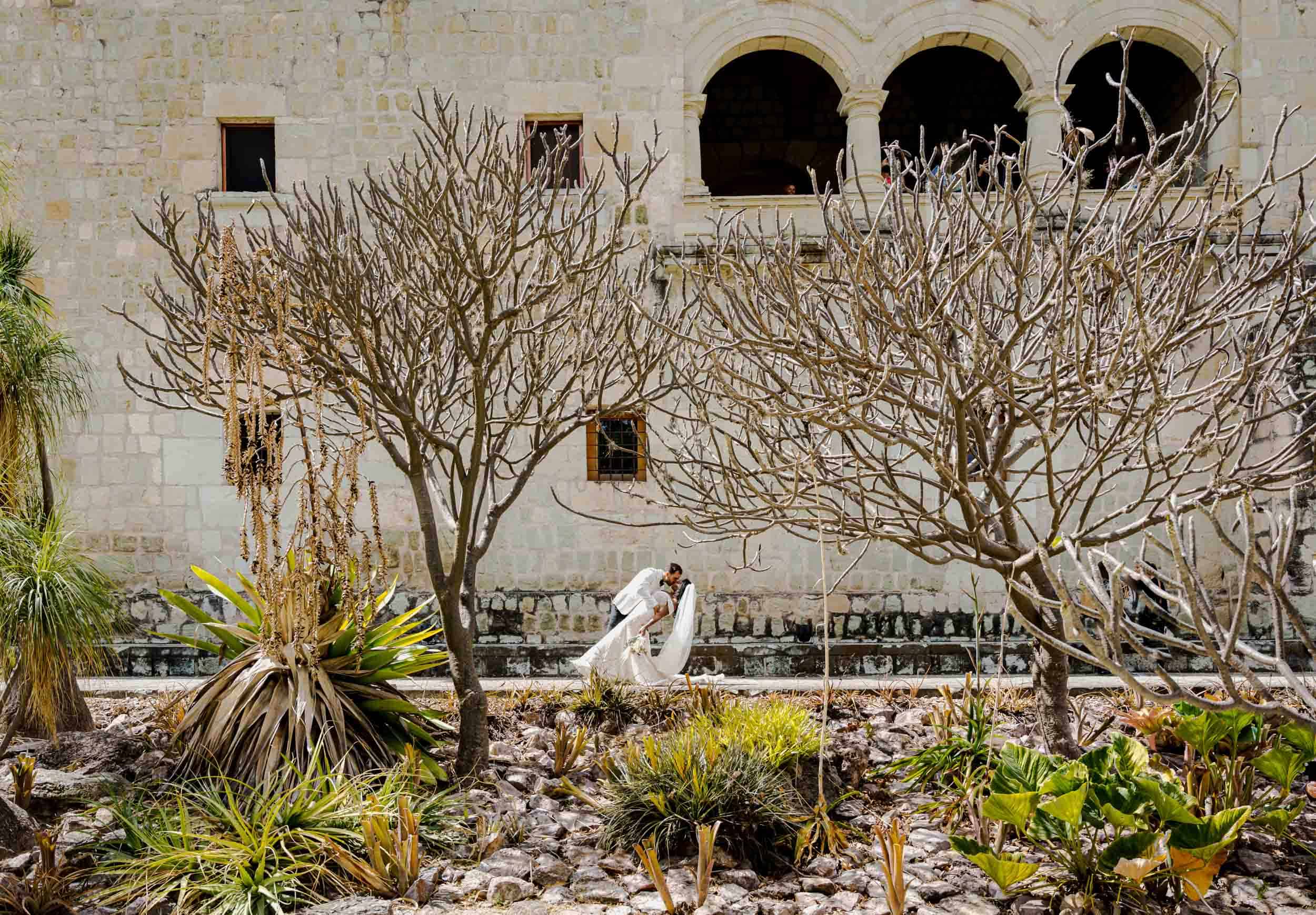 Nicole & Robert — Casa Quiote, Jardín Etnobotánico — Douglas Favero Photography