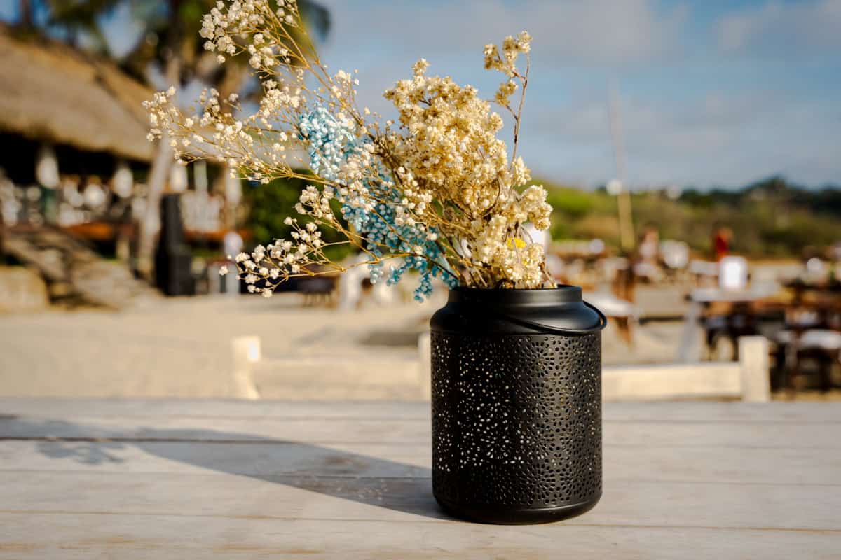 Saydé & Colin — Club de Playa Villa del Sol, Puerto Escondido — Douglas Favero Photography