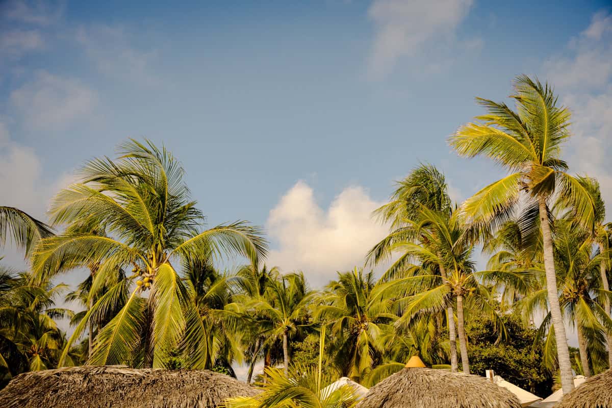 Saydé & Colin — Club de Playa Villa del Sol, Puerto Escondido — Douglas Favero Photography