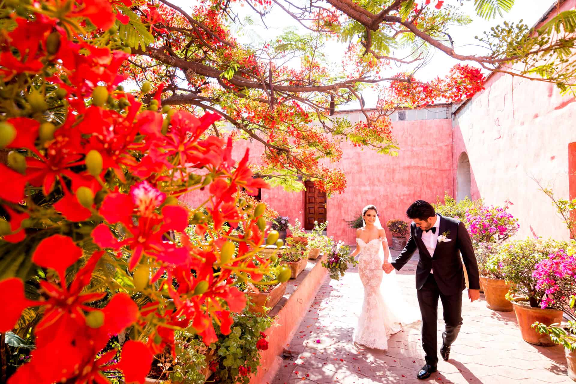 Margoth & Isaac — Quinta Real, Jardín Etnobotánico — Douglas Favero Photography