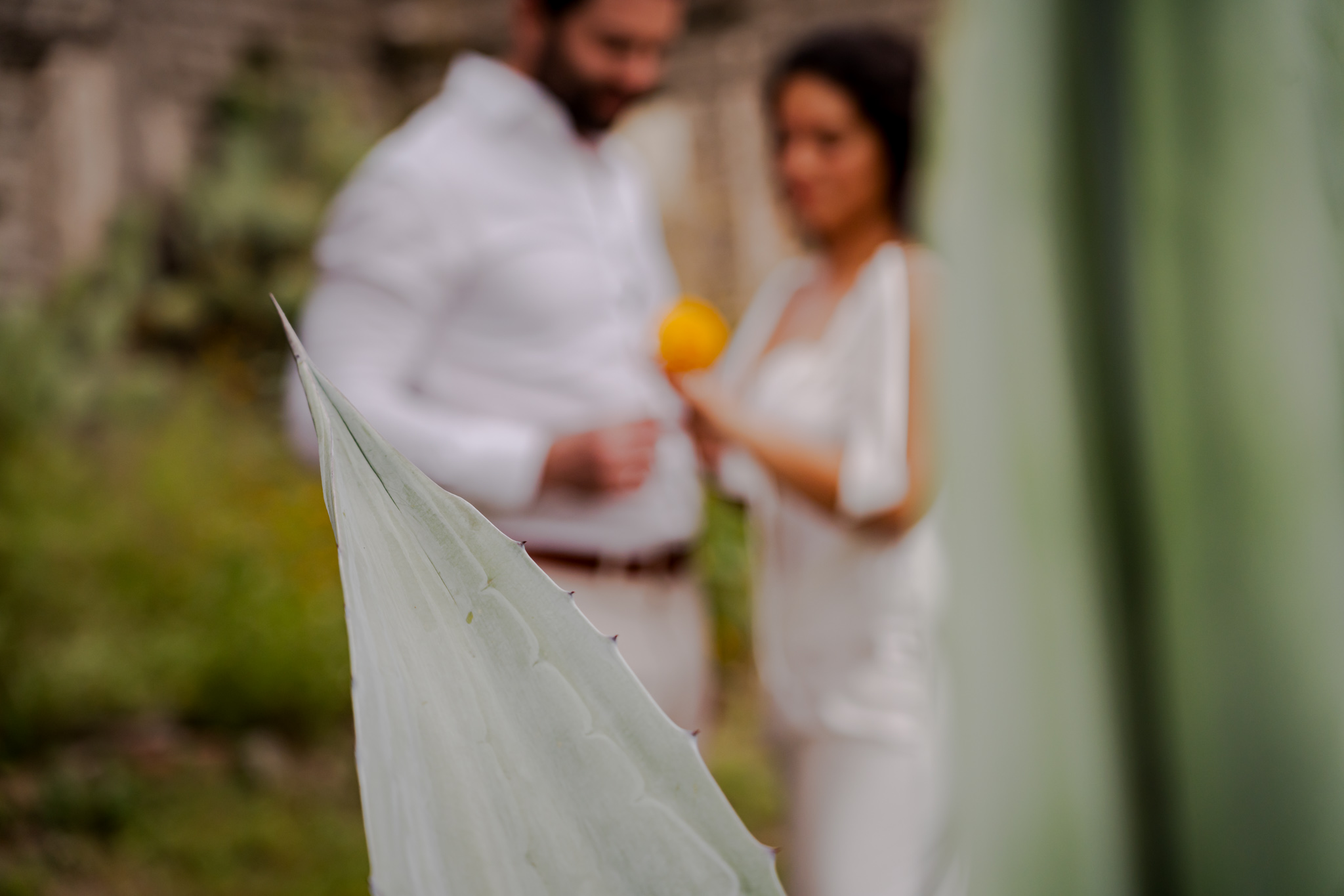 Nicole & Benji — Near Yagul, Oaxaca — Douglas Favero Photography