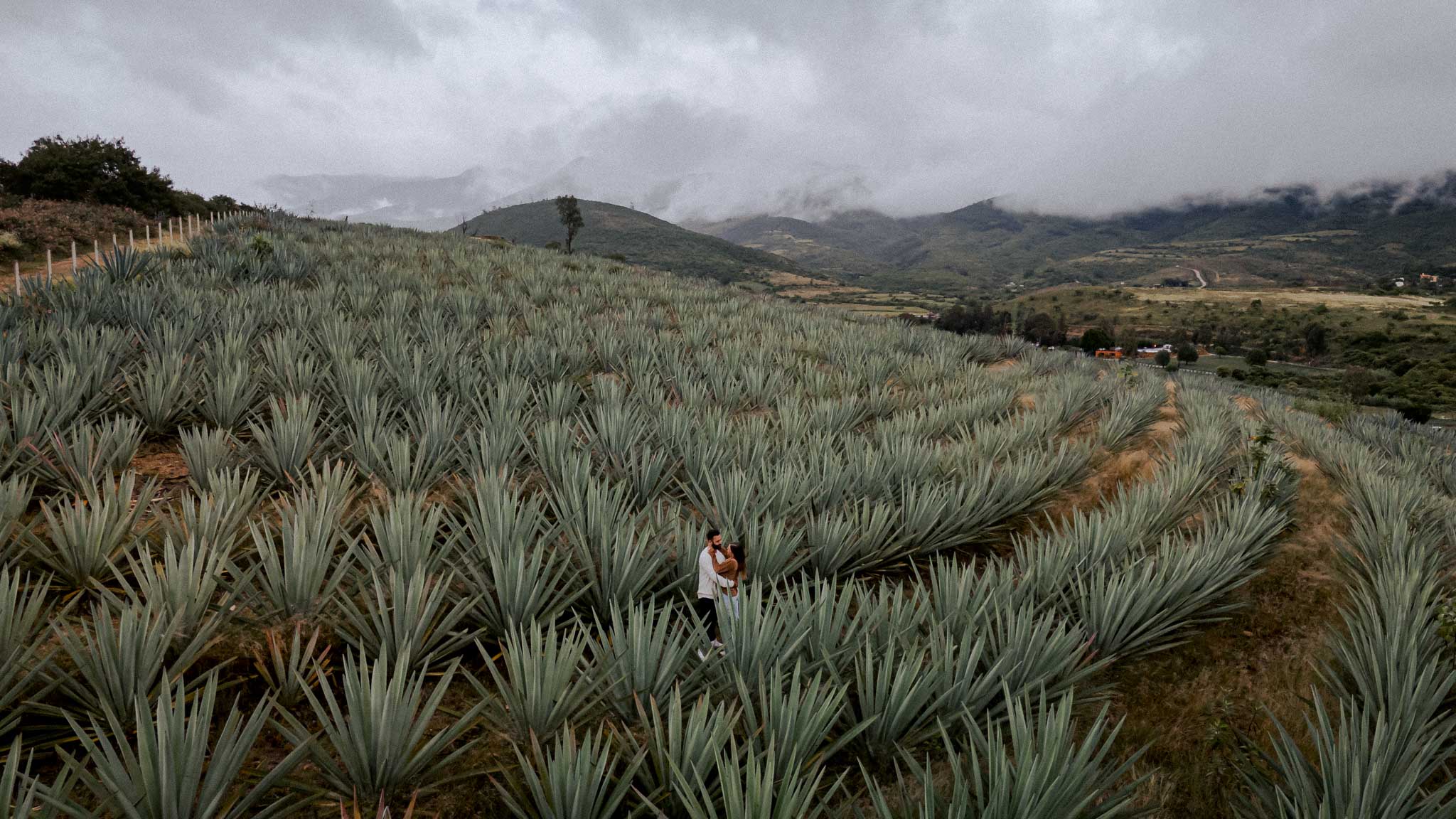 Sarah & Ismael — Loma Noble — Douglas Favero Photography