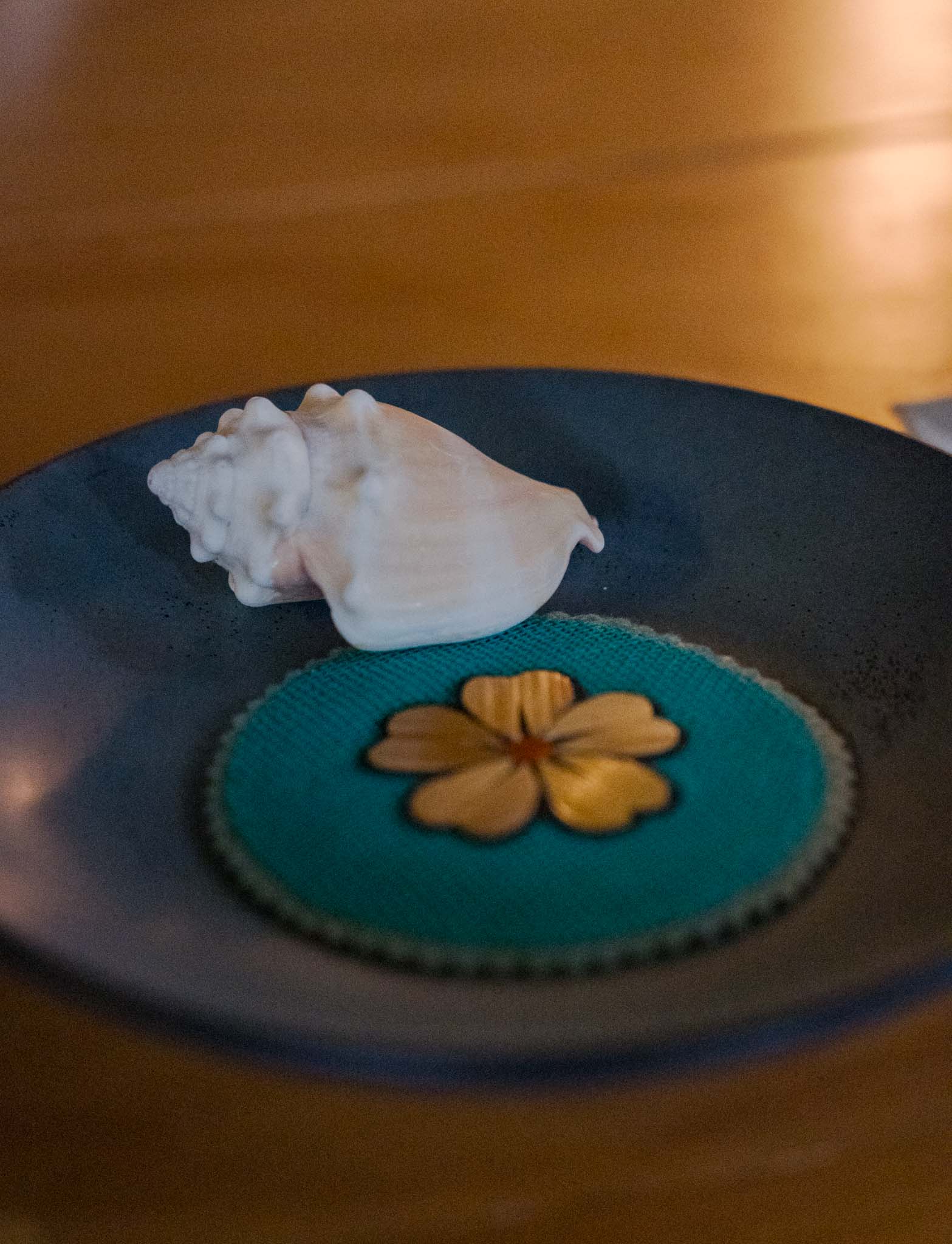 Vianey & Greyson — Esplanada Santo Domingo / El Chef Zapoteco — Douglas Favero Photography