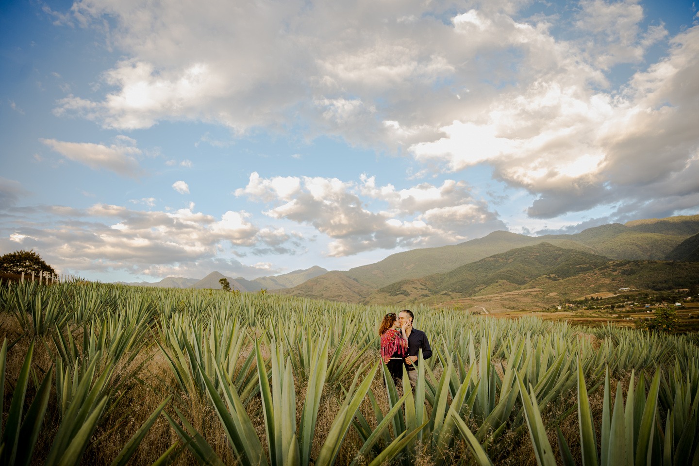 DouglasFavero.Photography.LomaNoble.Oaxaca.F.G_ (6)