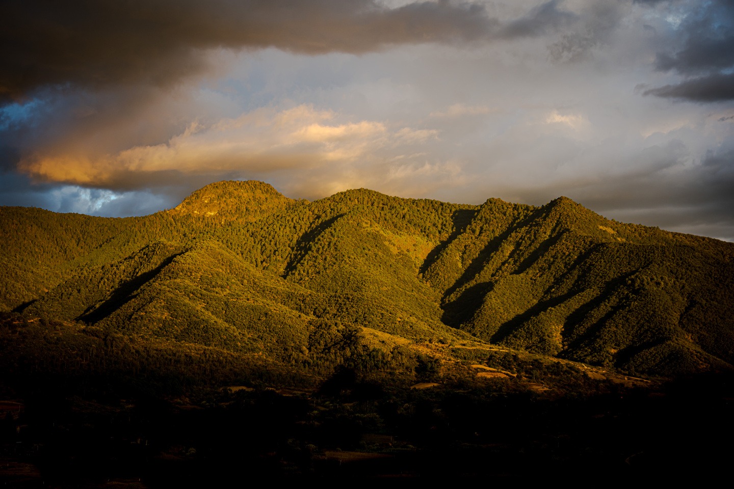 DouglasFavero.Photography.LomaNoble.Oaxaca.F.G_ (7)