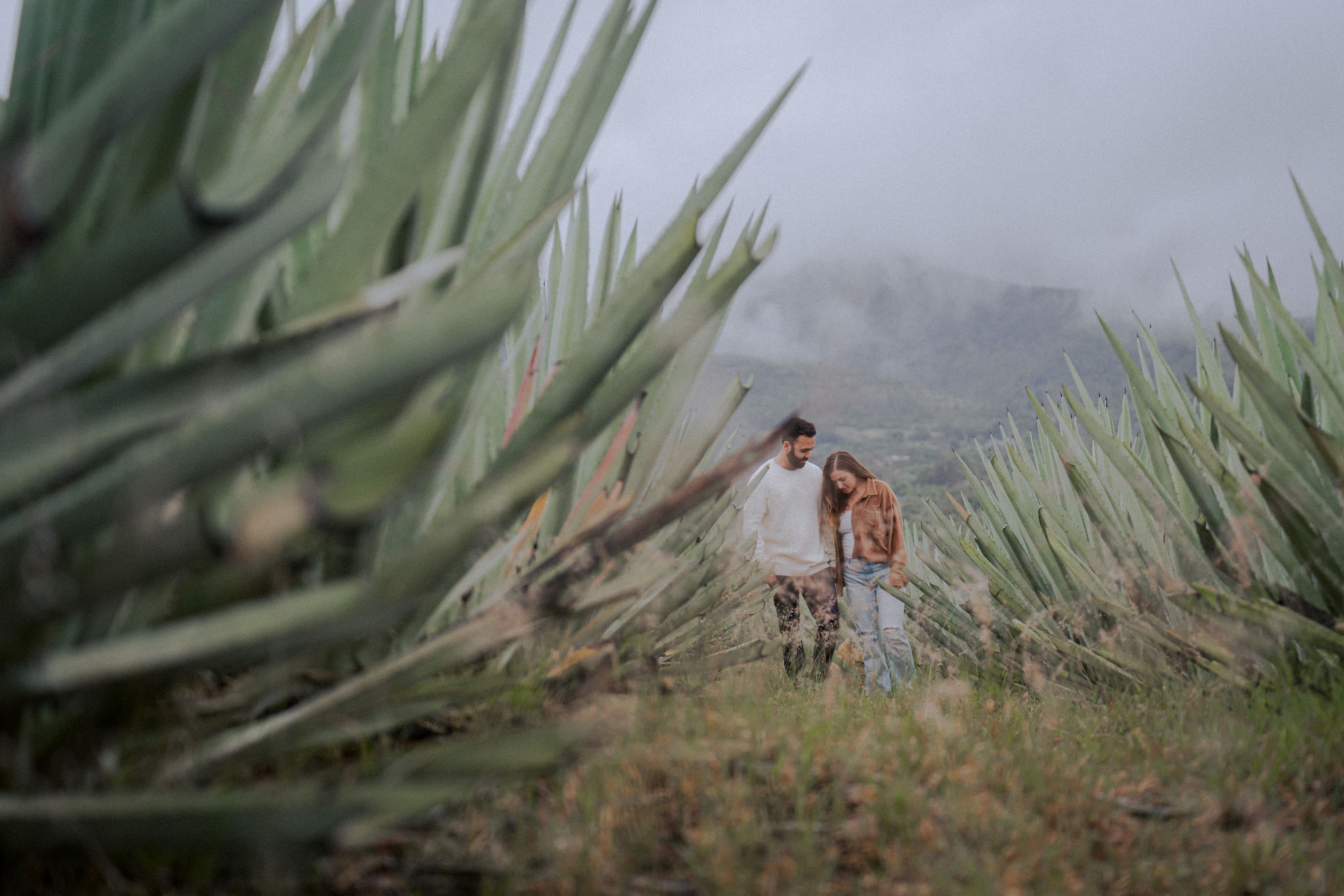loma noble photography by douglas favero