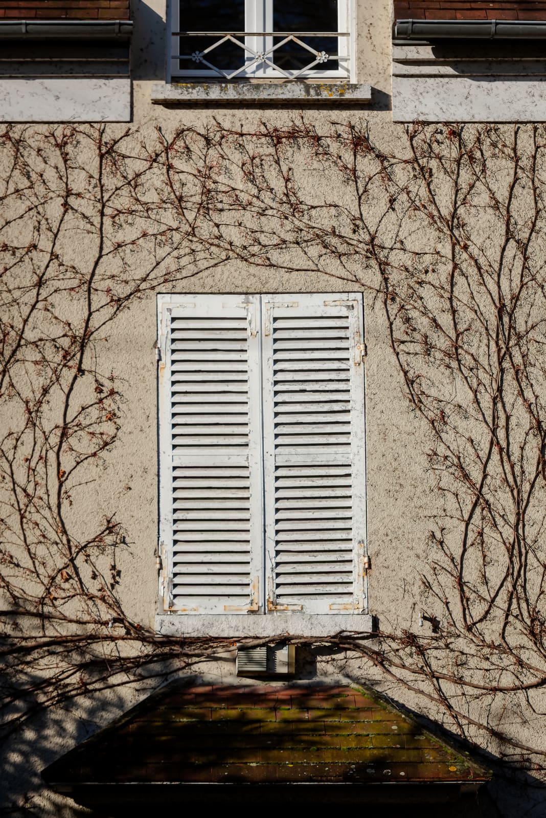 Closed white shutters framed by bare vines on a Louveciennes facade