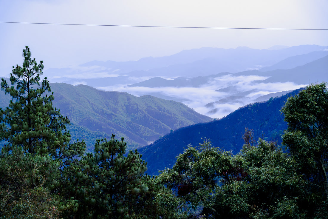 A sea of clouds filling the valleys below San José del Pacifico at sunrise