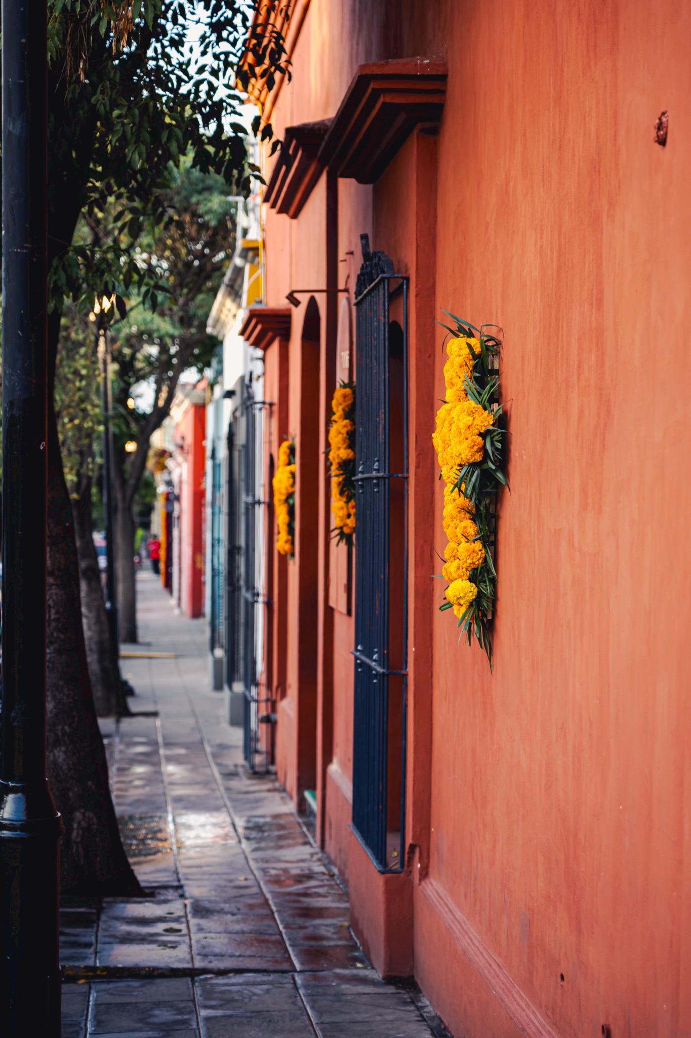 A street in Oaxaca with marigold crosses hung on the colored walls