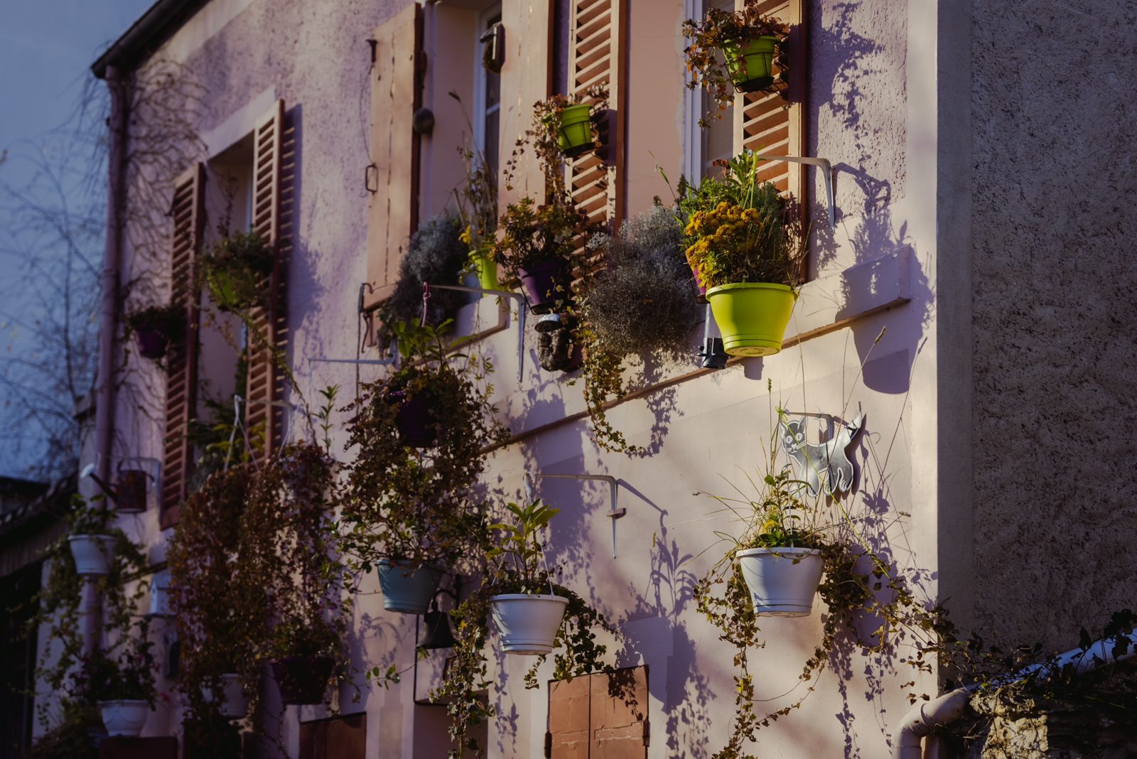 Rue de Montbuisson
