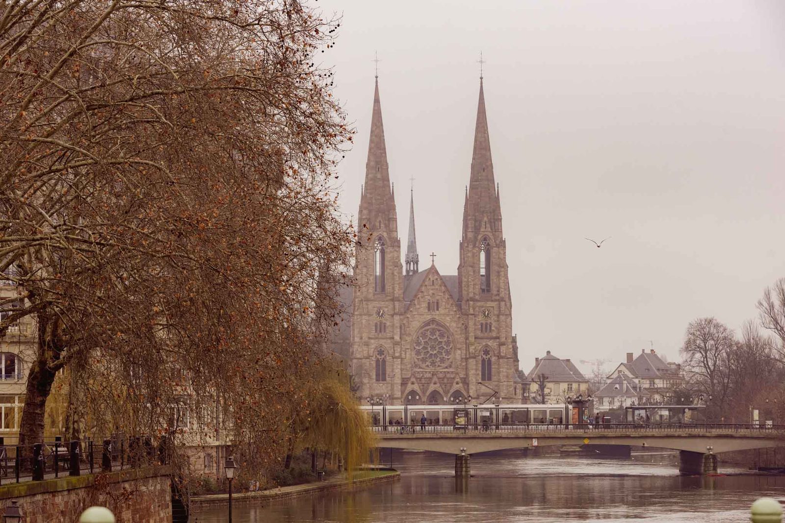The twin spires of Saint-Paul church above the Ill, framed by bare trees